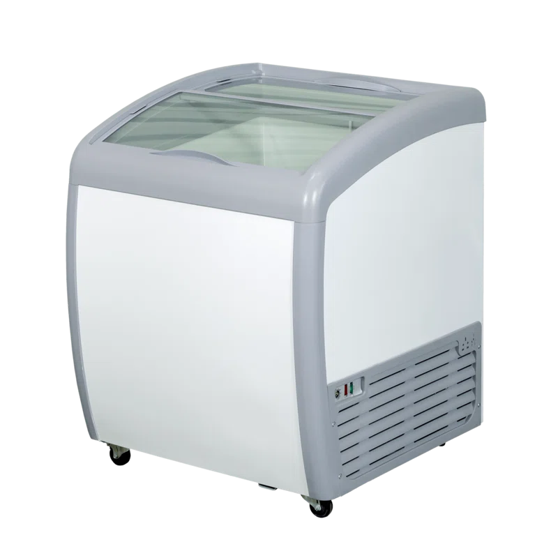 Ancaster Food Equipment 5.6 Cubic Feet Frost-Free Chest Freezer with Adjustable Temperature Controls XS-160YX