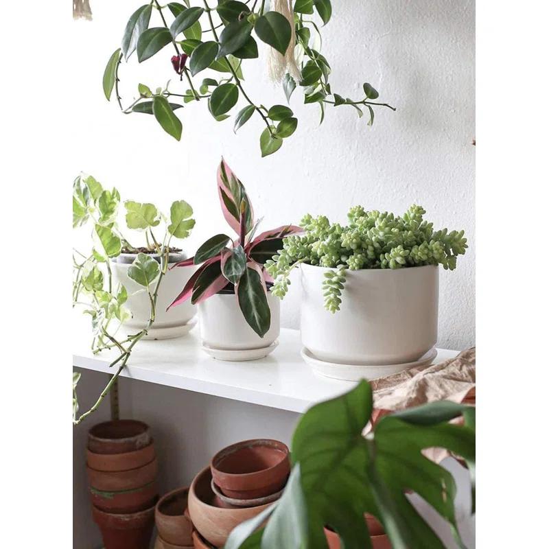 Set Of 3 Modern Ceramic Planter Pots With Drainage - Stylish Indoor/Outdoor Decor