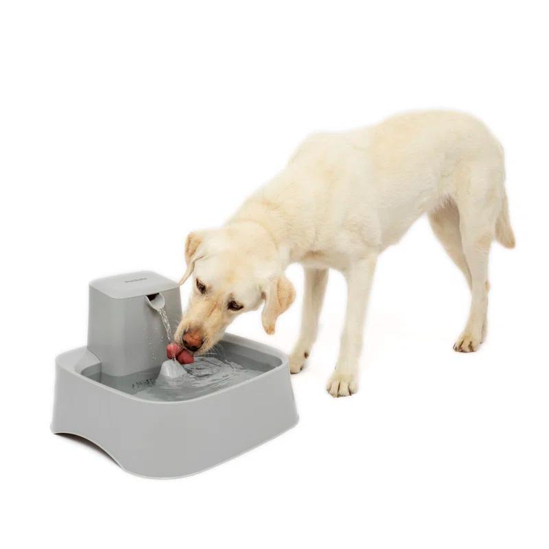 PetSafe® Drinkwell® Gallon Pet Fountain