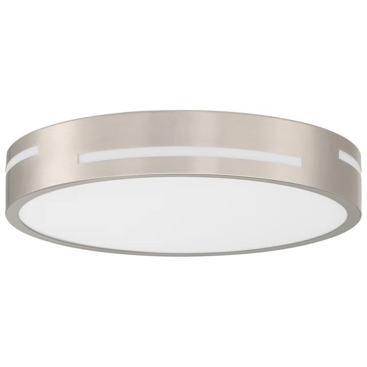 Ivy Bronx Acrylic LED Flush Mount