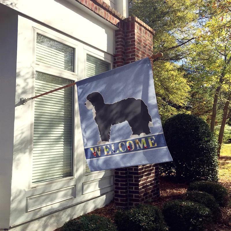 Caroline's Treasures Double Sided 40'' H x 28'' W Polyester House Flag