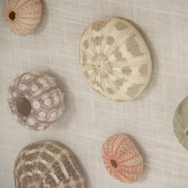 Handmade Coastal Shells Acrylic Shadowbox Wall Art