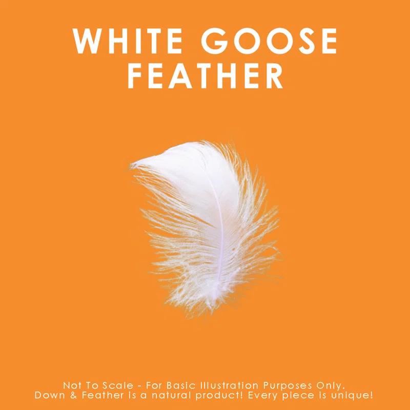 Canadian Down & Feather Company White Goose Feather Pillow - 2 Pack (Set of 2)