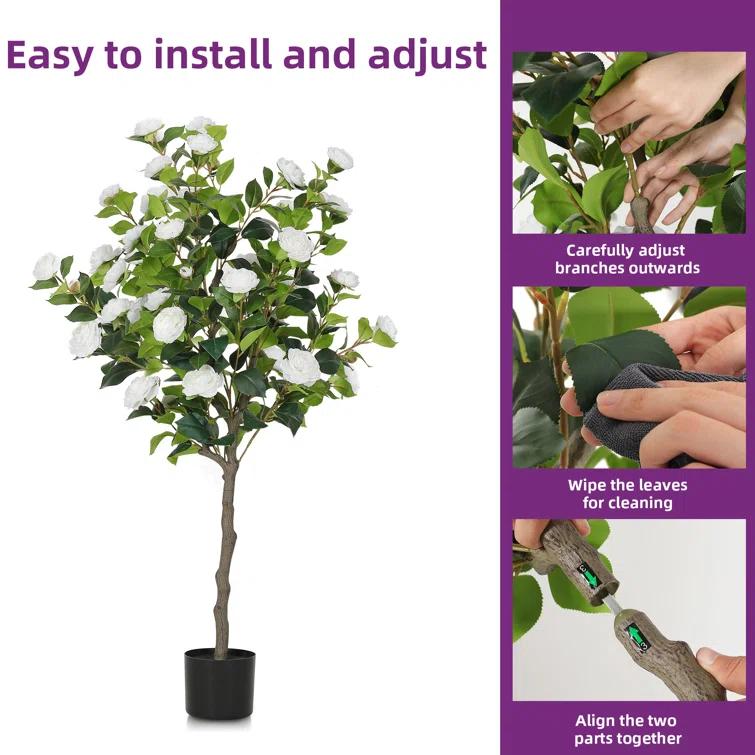 Primrue Primrue 49.2 Camellia Tree Plant (Set of 2)