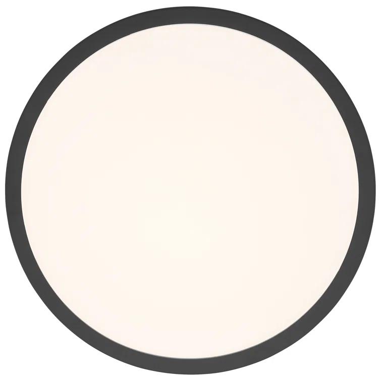 Ivy Bronx Acrylic LED Flush Mount