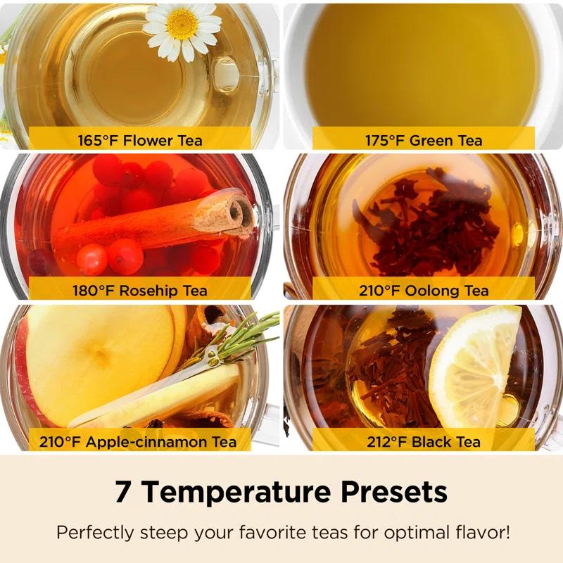 CUCKOO Electric Tea Kettle with Infuser & Temperature Control 7 Heat Settings LED Lights 1.7L Glass and Stainless Steel (CK-G170BS)