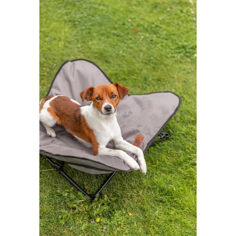 TRIXIE TRIXIE Camping Cot for Dogs, Elevated Dog Bed, Folding Padded Pet Bed, Raised Travel Lounger for Dogs