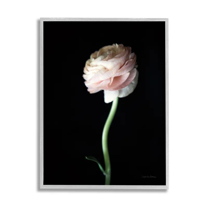 Stupell Industries " Ranunculus Flower " by Debra Van Swearingen