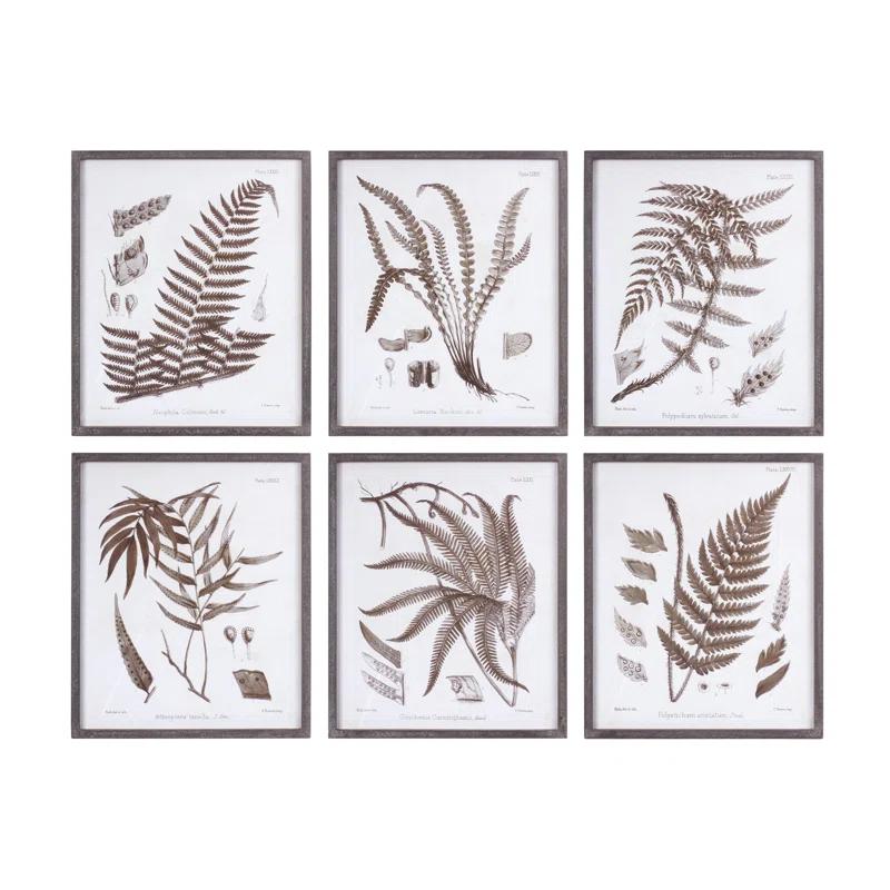 Love Happy Creations LLC " Fern " 6 - Pieces (Set of 6)