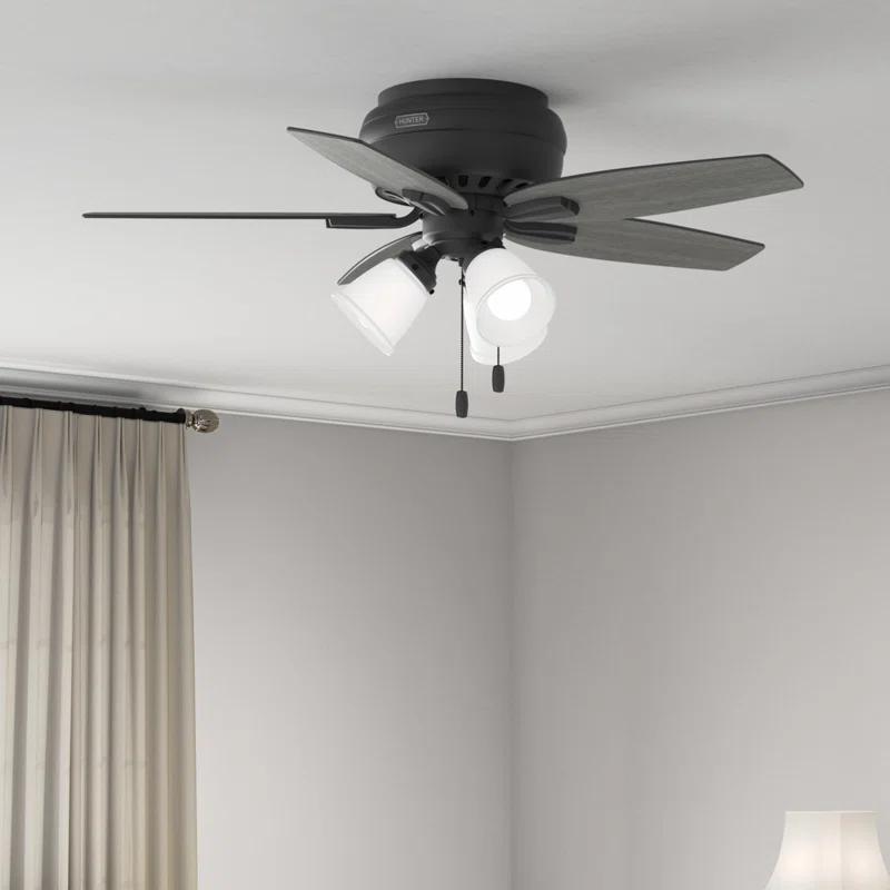 Hunter Fan Newsome 42" 5 - Blade Traditional Indoor Flush Mount Ceiling Fan with Lights and Pull Chains