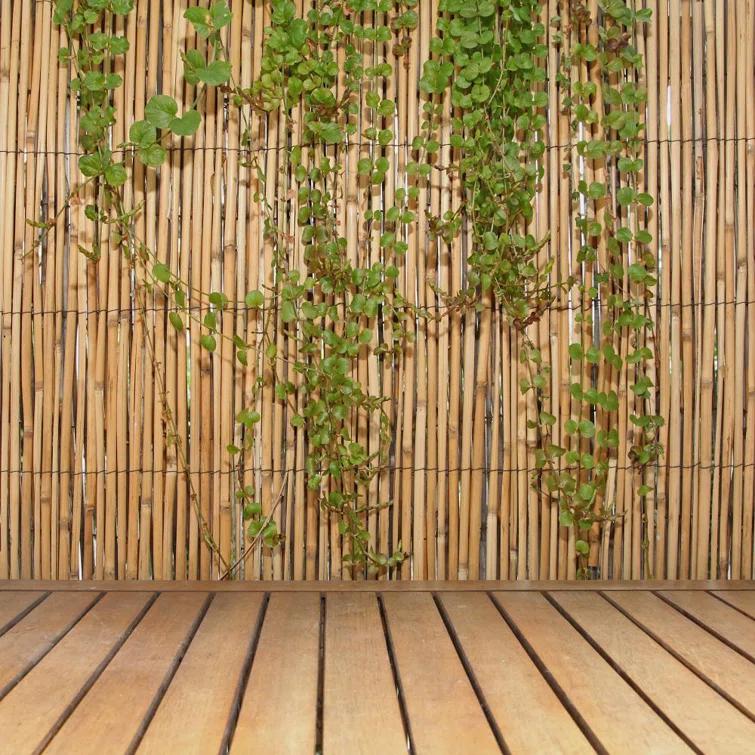 Backyard X-Scapes 6 ft. H x 16 ft. W Natural Jumbo Reed Fence Decorative Garden Fencing Divider