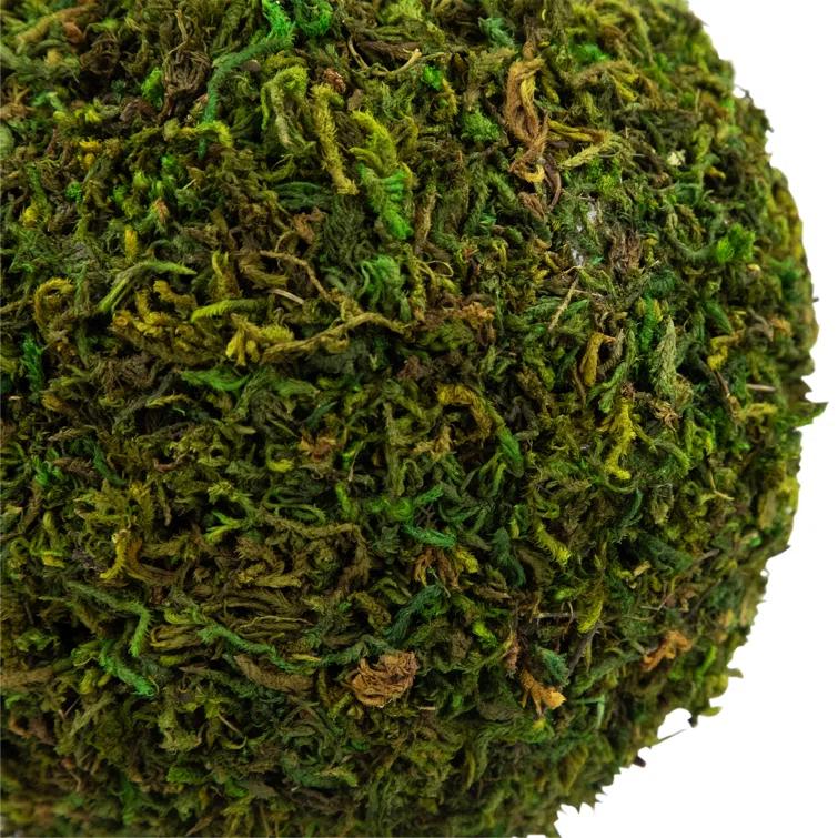 Northlight Seasonal Green Reindeer Moss Ball Potted Artificial Spring Topiary Tree