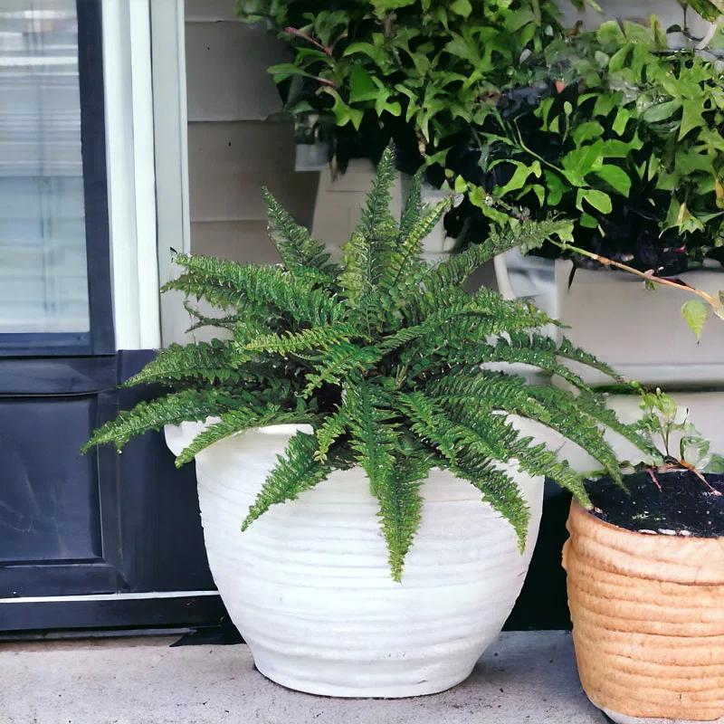 Realistic Faux Green Fern Plant