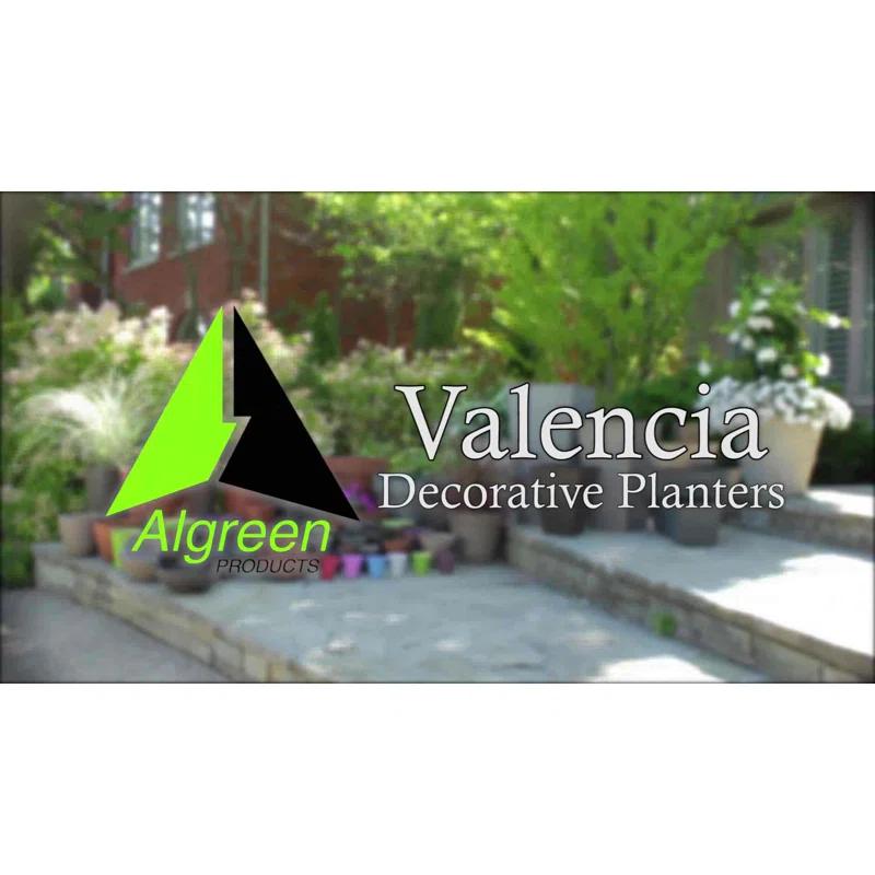 Algreen  4.5 x 12 x 12 in. Valencia Planter Bowl, Textured Charcoal - Pack of 2