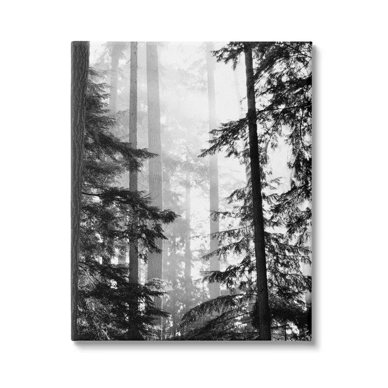 Stupell Industries Forest Light Shining Through Tall Trees Landscape by Gail Peck - Photograph & Reviews | Wayfair