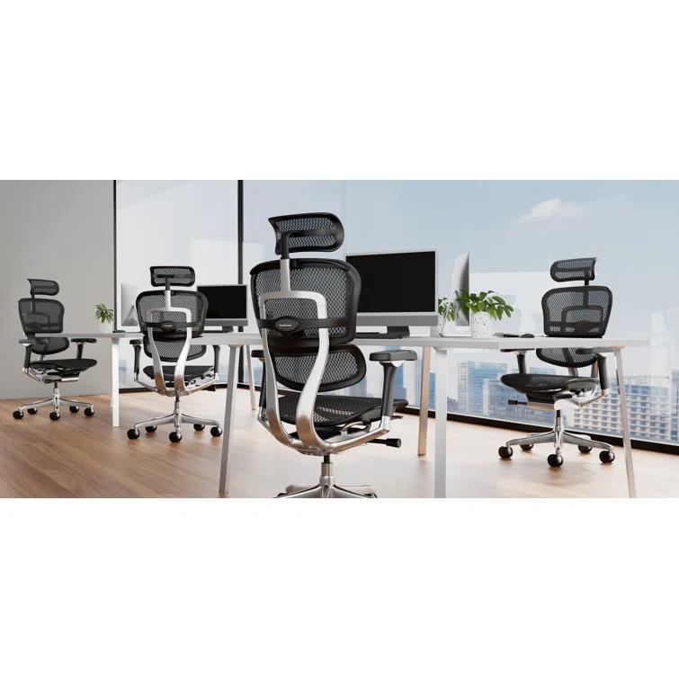 Eurotech Seating Ergohuman Executive Chair with Headrest