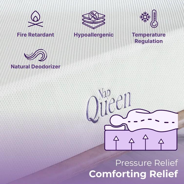 Nap Queen Charlotte, Bamboo Charcoal Infused Medium Firm Memory Foam Mattress & Reviews | Wayfair