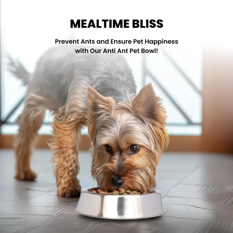 Iconic Pet Anti Ant Non-Skid Pet Bowl (2 Bowls) (Set of 2)
