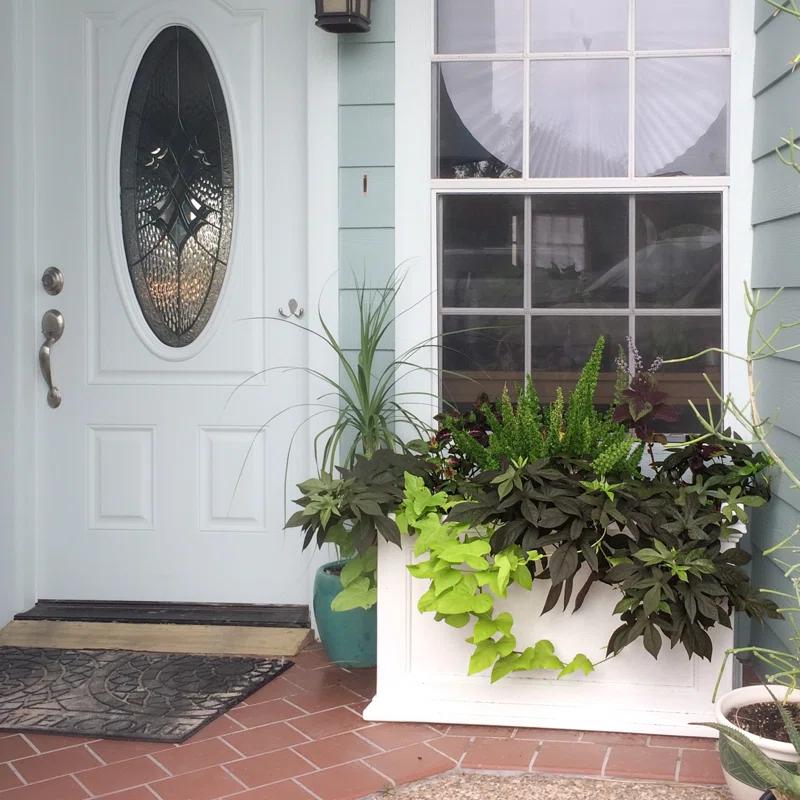 Winston Porter Anastasiya 20"x36" Resin Planter with Water Reservoir