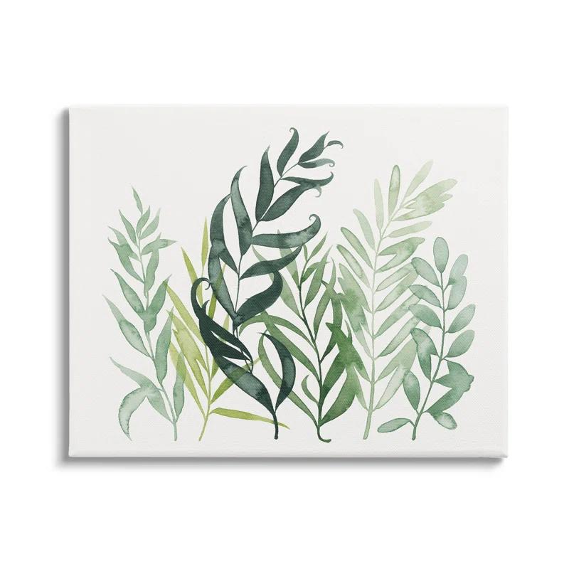 Stupell Industries " Layered Plant Leaves Botanical " by Grace Popp