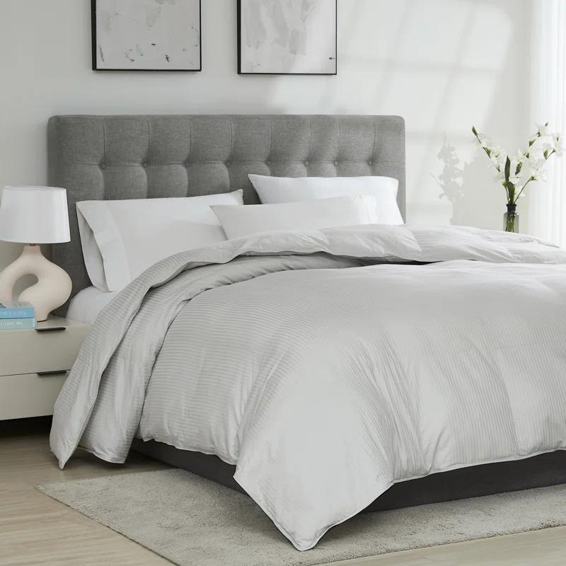 Downlite Oversized 120" x 120" King Down Alternative Comforter & Reviews | Wayfair