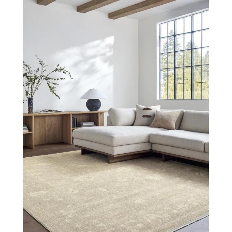 Galey Alix x Livabliss Galey Alix x Livabliss Fetscher III Machine Woven Area Rug