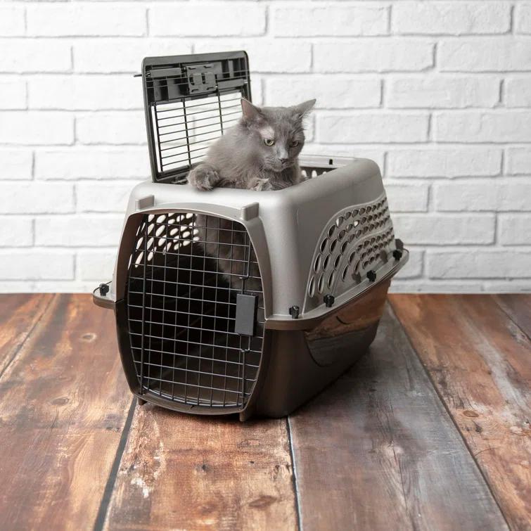 Petmate Plastic Pet Carrier with 1 Door