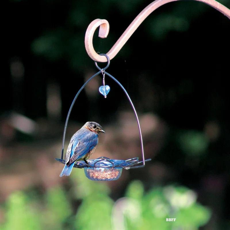 Birds Choice Birds Choice 3 oz. Bluebird Flower Cup Feeder for Dried Fruit or Mealworms, Blue