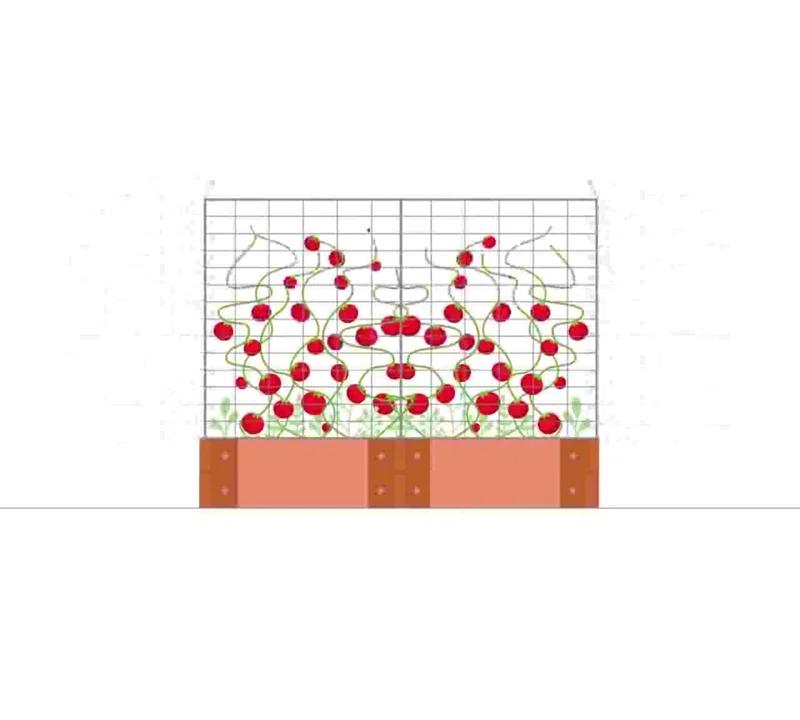 Frame It All Raised Garden Bed