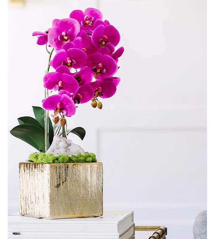 T&C Floral Company Orchid Arrangement in Planter