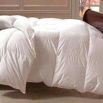 Downright Bernina Lightweight Down Comforter | Perigold