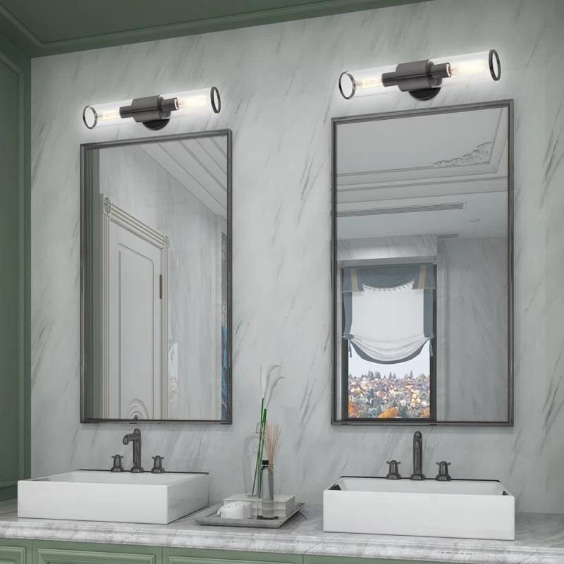 Wade Logan® Birchfield Dimmable Vanity Light