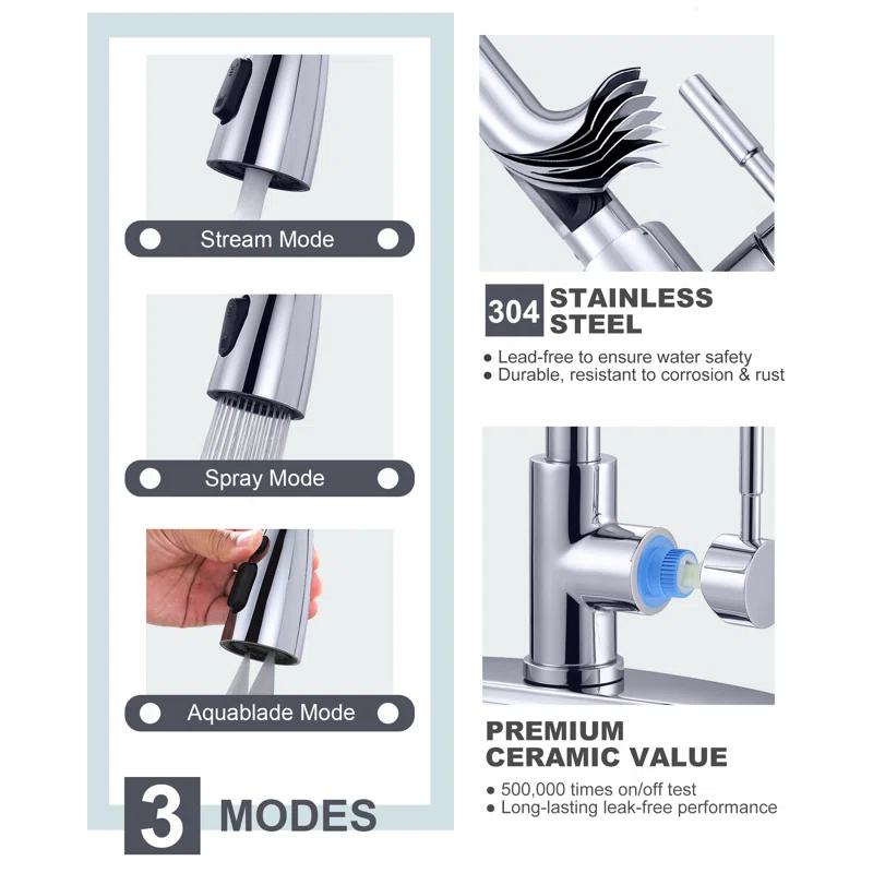 ARCORA ARCORA Stainless Steel Pull-Down Kitchen Faucet and Water Filter Faucet Combo AR7100301C-L