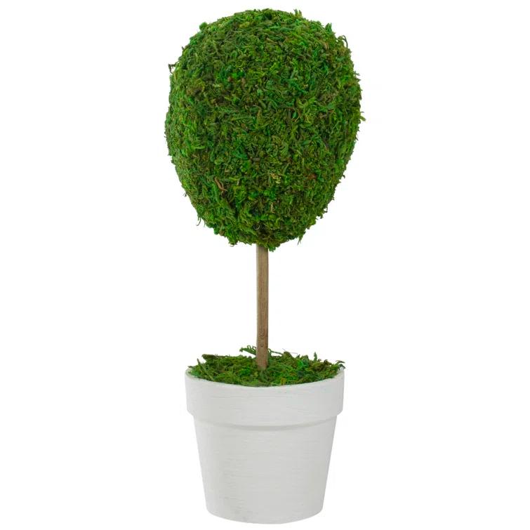 Northlight Seasonal Green Reindeer Moss Ball Potted Artificial Spring Topiary Tree