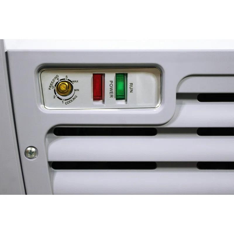 Ancaster Food Equipment 5.6 Cubic Feet Frost-Free Chest Freezer with Adjustable Temperature Controls XS-160YX