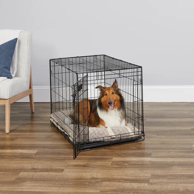 Midwest Homes For Pets MidWest Homes for Pets Newly Enhanced Single Door iCrate Dog Crate Includes Divider Panel