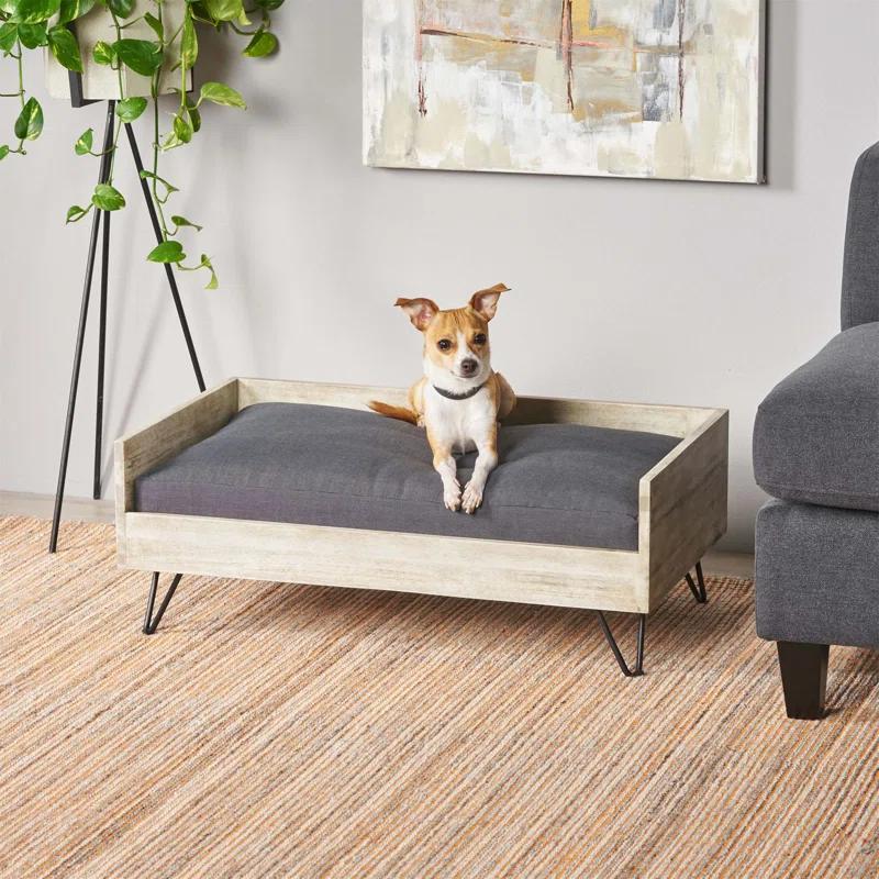 Tucker Murphy Pet™ Kaylor Mid Century Modern Dog Sofa