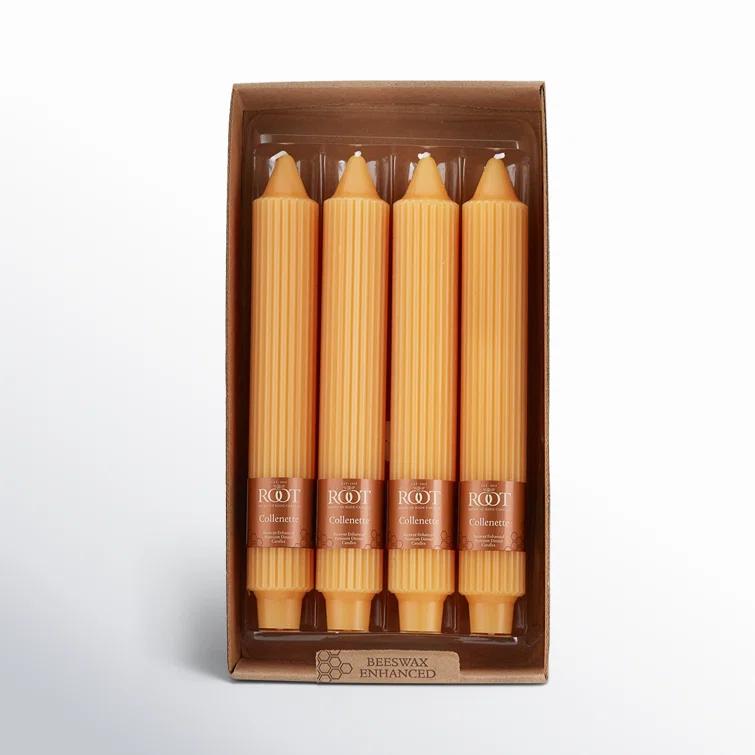 Root Candles Grecian Collenette Unscented Taper Candle & Reviews | AllModern