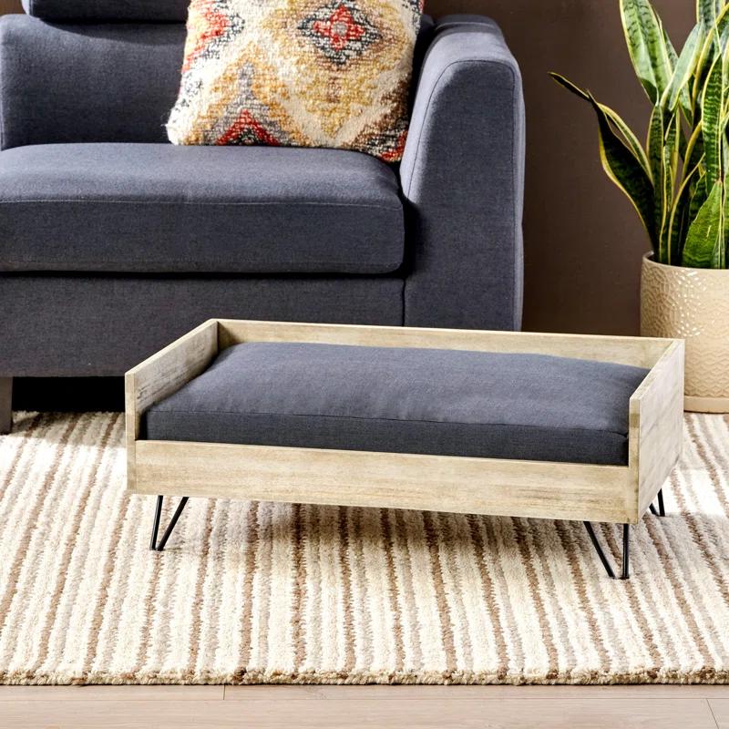 Tucker Murphy Pet™ Kaylor Mid Century Modern Dog Sofa