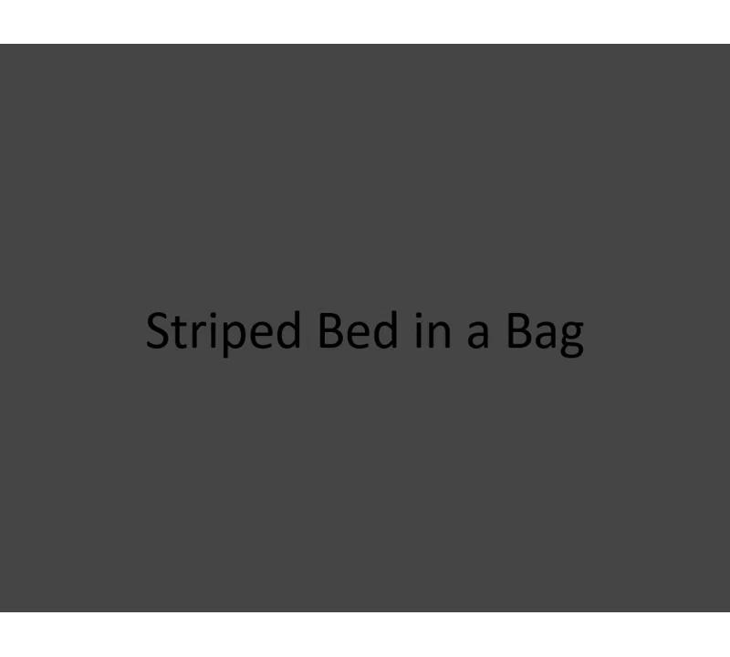Style 212 Style 212 Carlyle Polyester Channel Striped Comforter Set