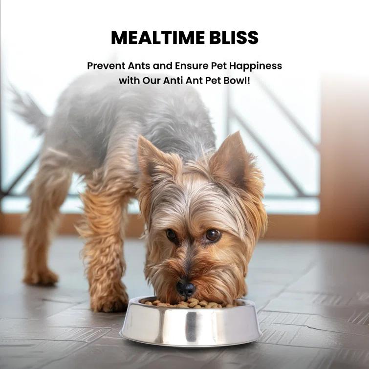 CosmoLiving by Cosmopolitan Anti Ant Pet Single Bowl