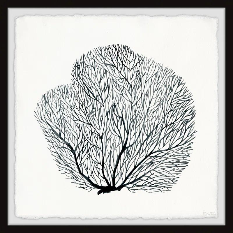 Parvez Taj " Sea Fern " by Parvez Taj