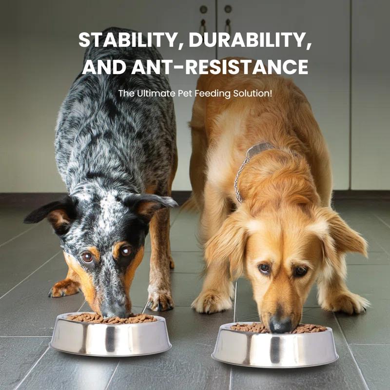 Iconic Pet Anti Ant Non-Skid Pet Bowl (2 Bowls) (Set of 2)