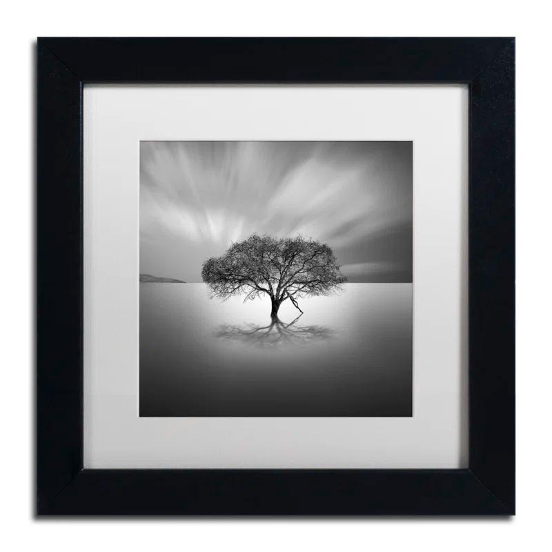 Trademark Fine Art Water Tree VIII Framed Photographic Print on Canvas & Reviews | Wayfair