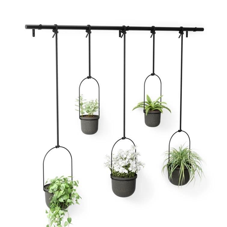 Umbra Hanging Planter