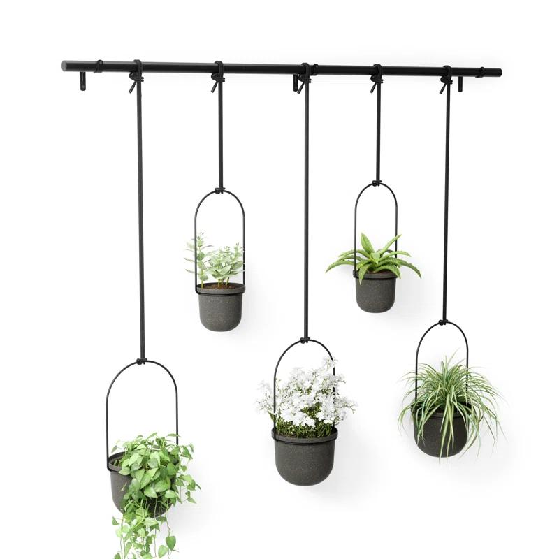 Triflora Large Hanging Planter