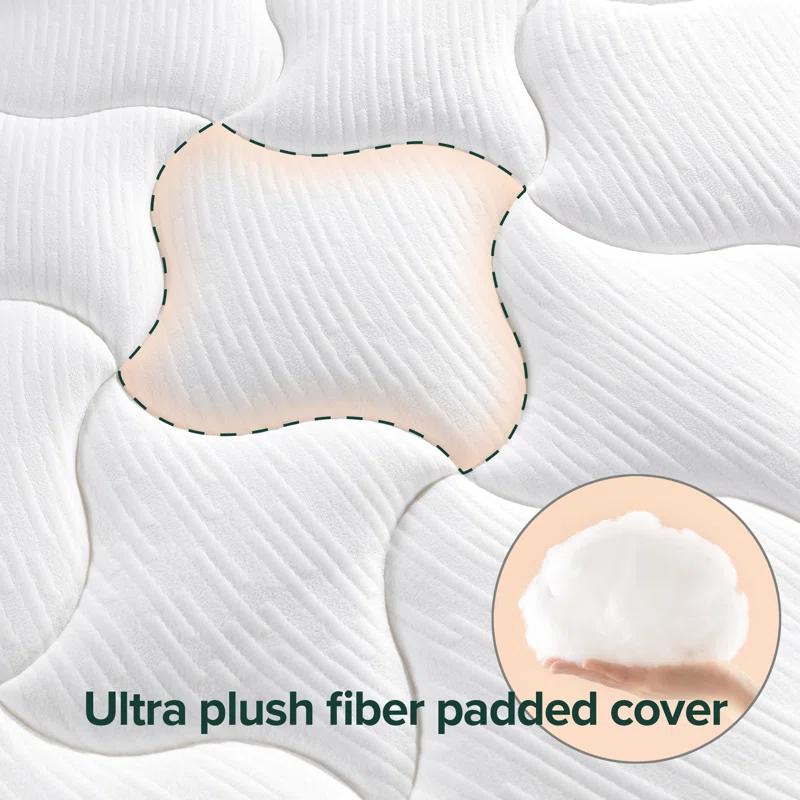 Zinus 8'' Plush Memory Foam Mattress