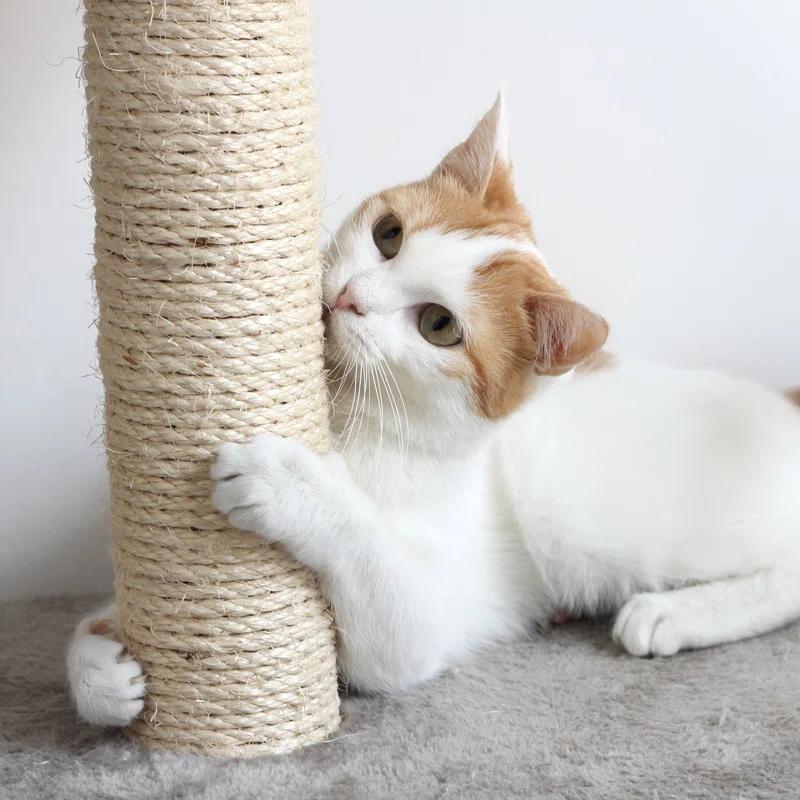 Cat Scratching Post - 3 Scratcher Posts with Carpeted Scratch Pad Base and Perch - Furniture Scratching Deterrent for Indoor Cats by PETMAKER