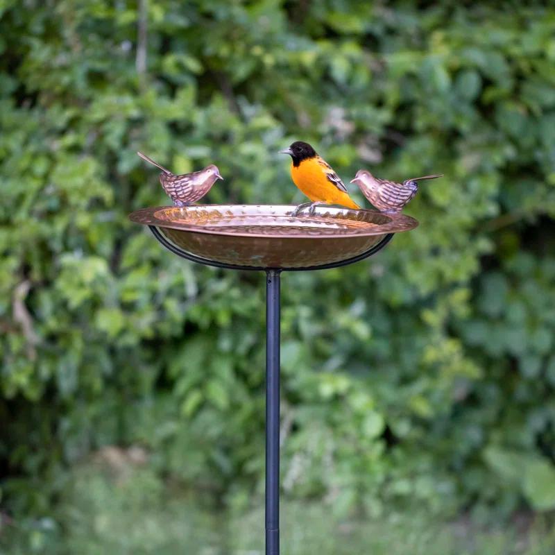 House of Hampton® Dowski Copper Single Tier Birdbath