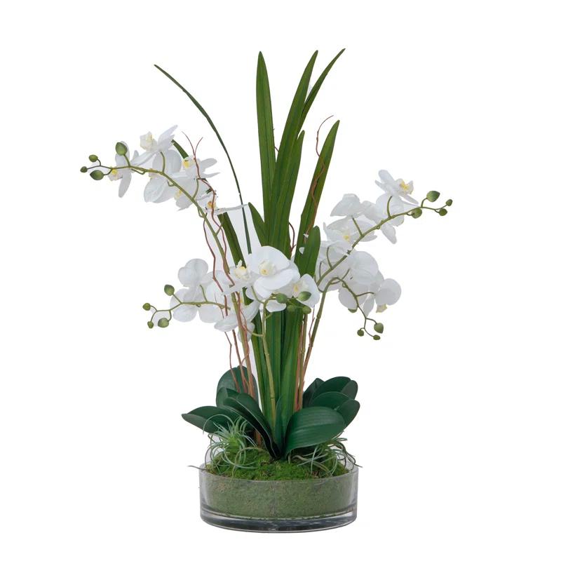 Fiori Sempre 29.5" White Orchid Arrangement in a Glass Vase| Real Touch White Moth Phalaenopsis Orchids by Fiori Sempre